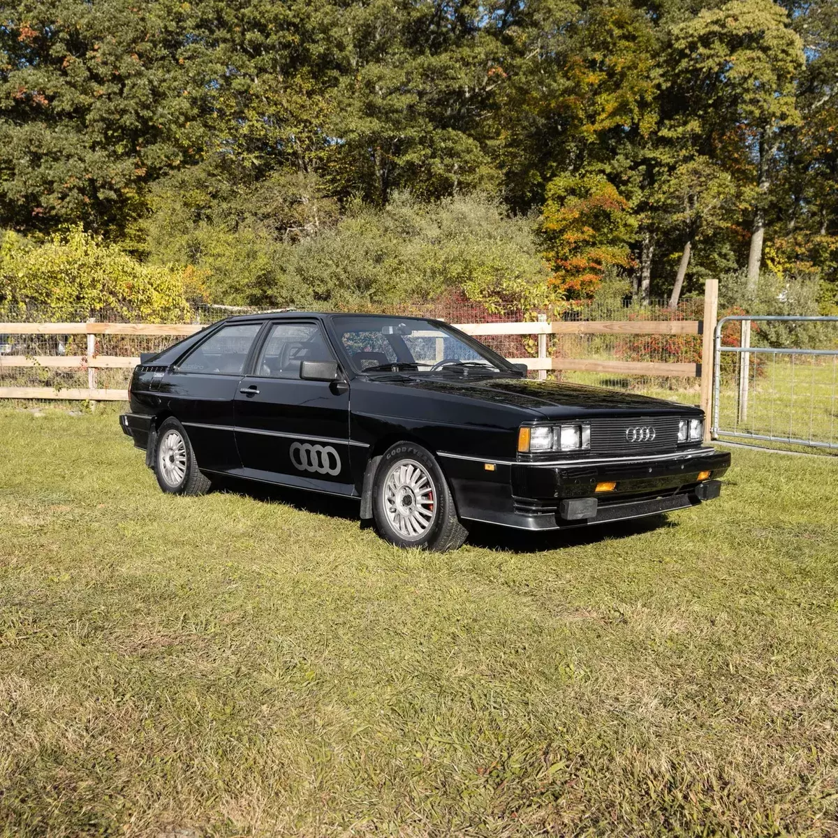 1983 Audi Quattro QUATTRO