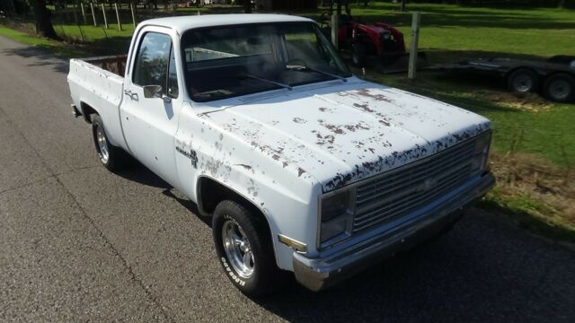 1983 Chevrolet C-10 Custom / Silverado