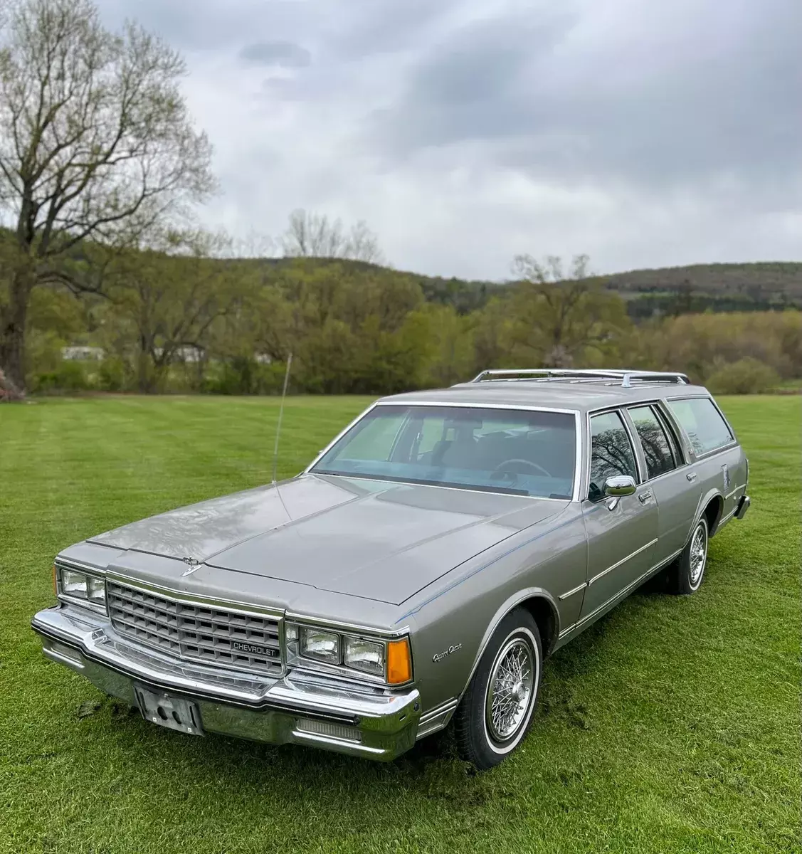 1983 Chevrolet Caprice CLASSIC