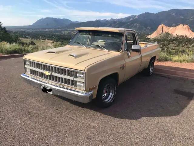 1983 Chevrolet C10 Pickup C-10