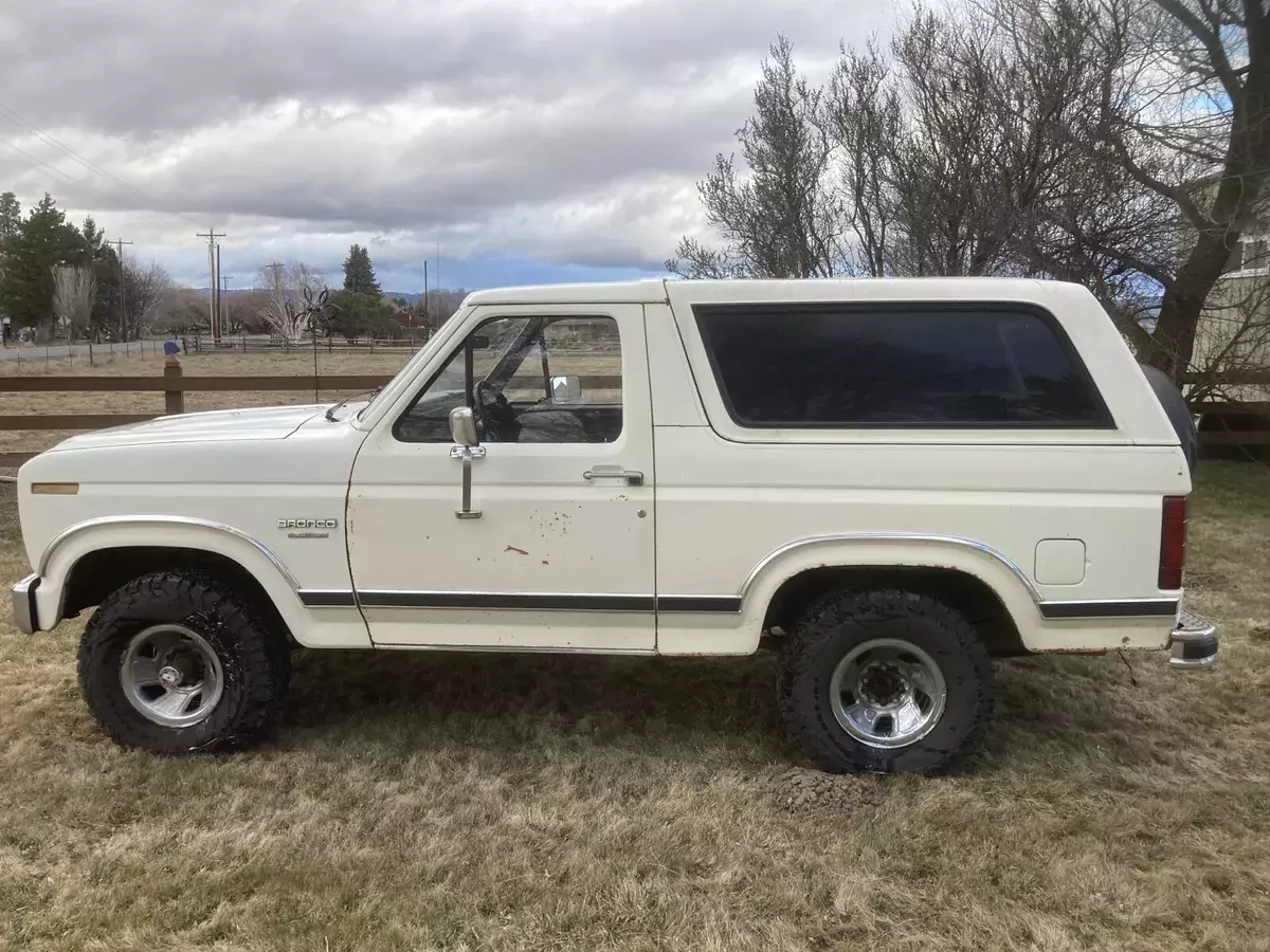 1983 Ford Bronco U100