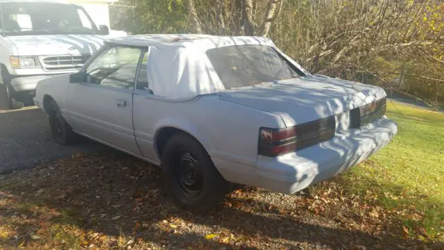 1983 Ford Mustang Glx