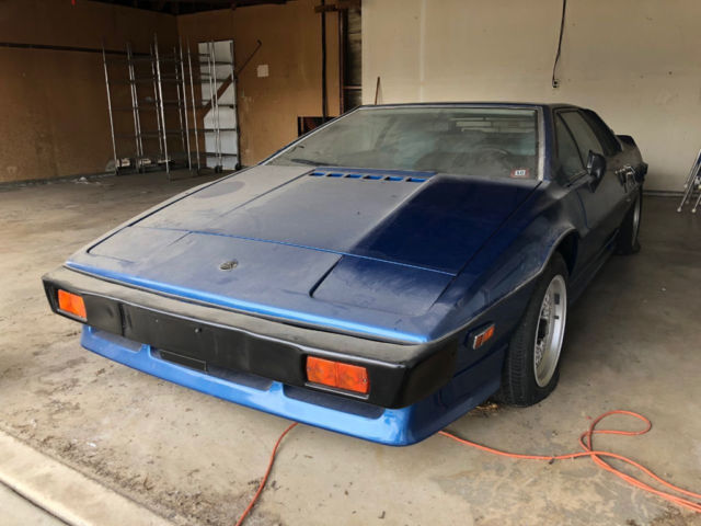 1983 Lotus Esprit Special Edition 22 of 50 / Miles Barn / Garage Find for sale: photos, technical specifications, description