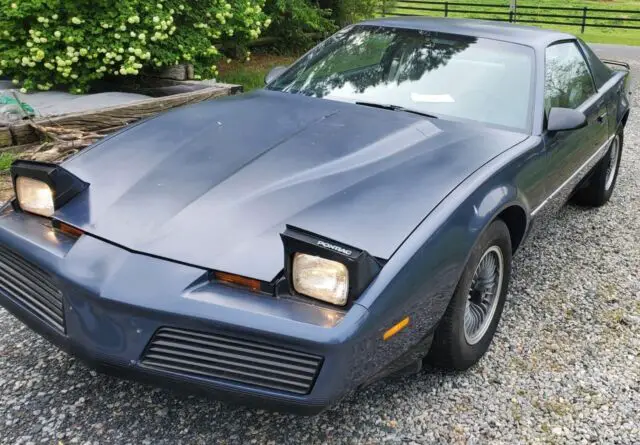 1983 Pontiac Firebird TRANS AM