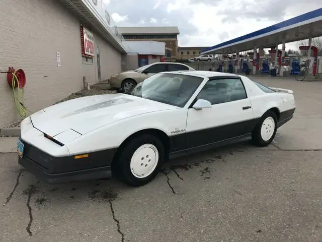 1983 Pontiac Trans Am Daytona 500