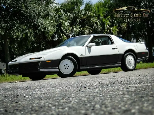 1983 Pontiac Trans Am Daytona 500 Pace CAR