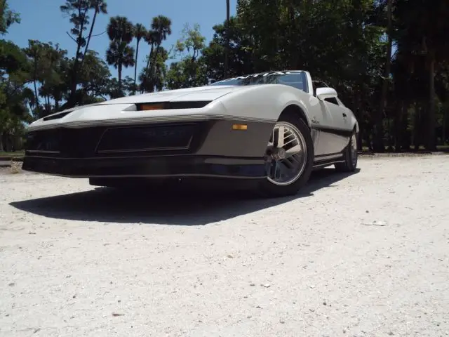 19830000 Pontiac Trans Am trans am