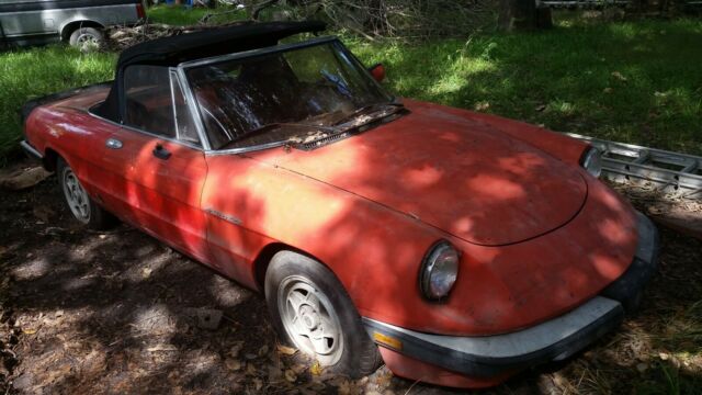 1984 Alfa Romeo Spider Veloce