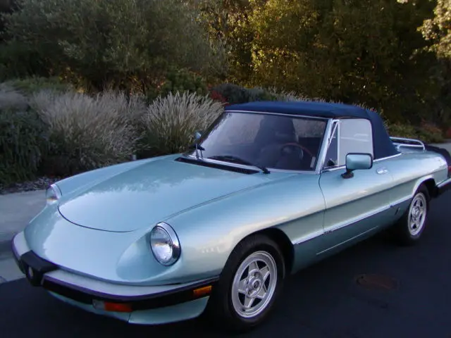 1984 Alfa Romeo Spider