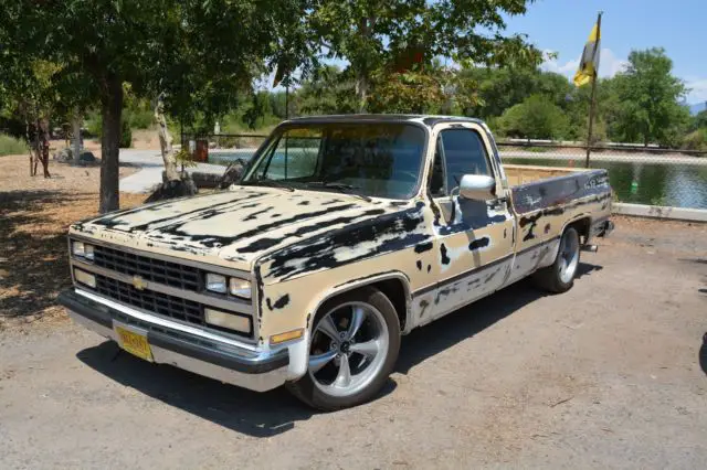 1984 Chevrolet C-10 custom deluxe