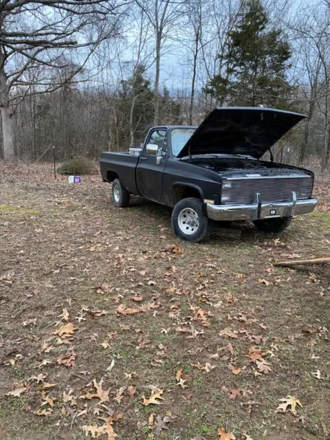 1984 Chevrolet Other Pickups