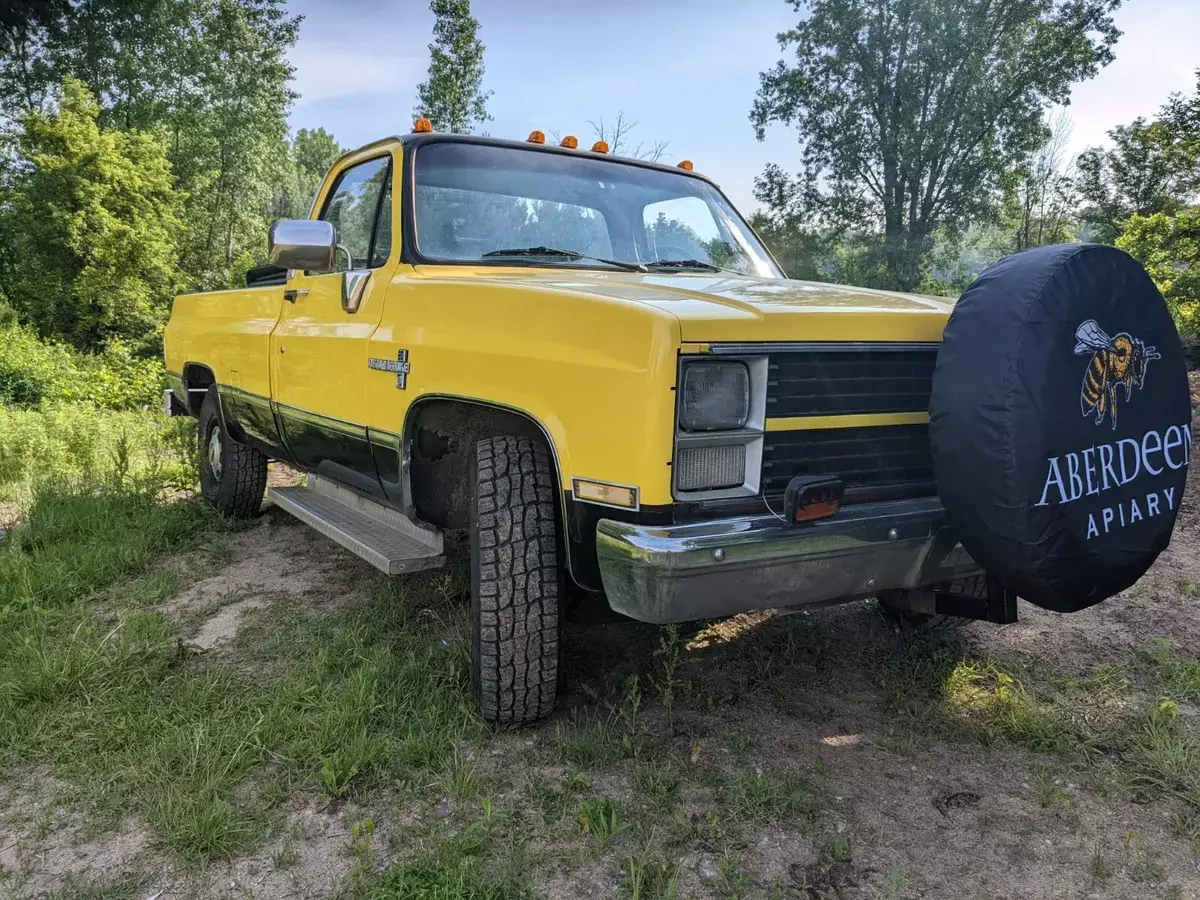 1984 Chevrolet C20 Pickup