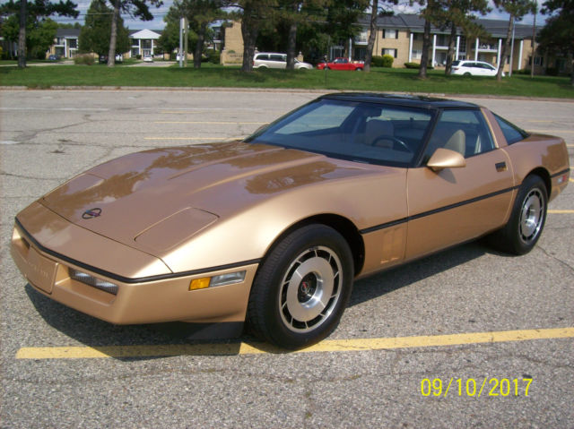 1984 Chevrolet Corvette leather