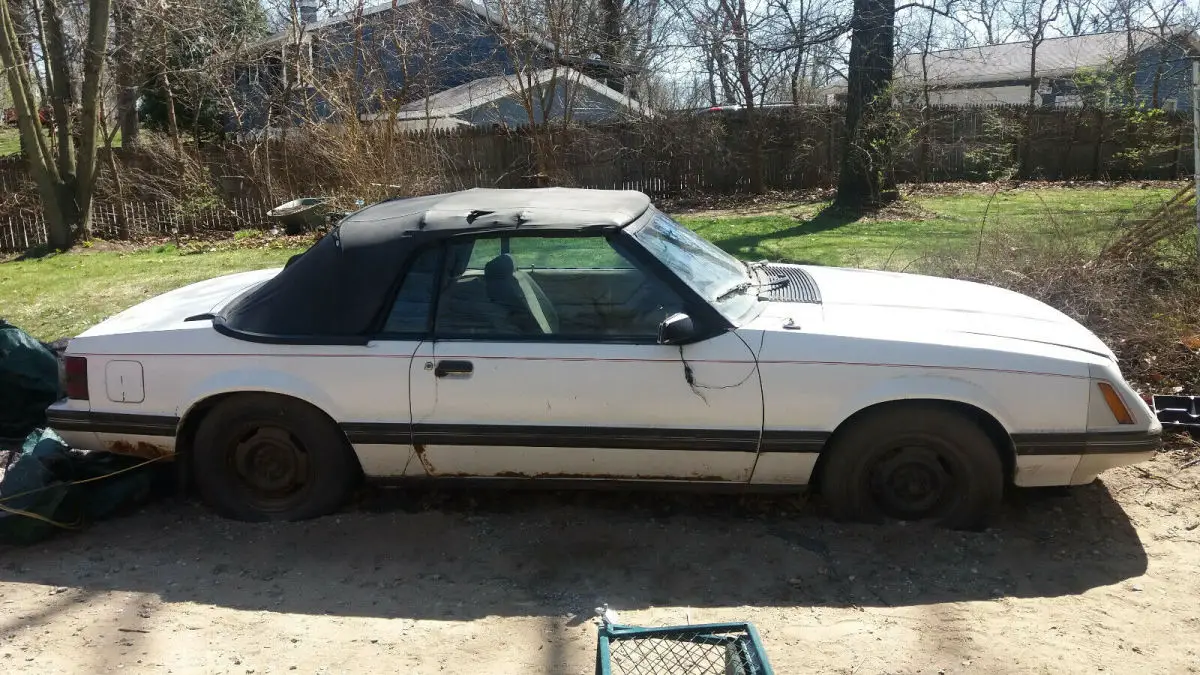 1984 Ford Mustang GLX