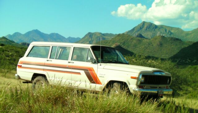 1984 Jeep Wagoneer