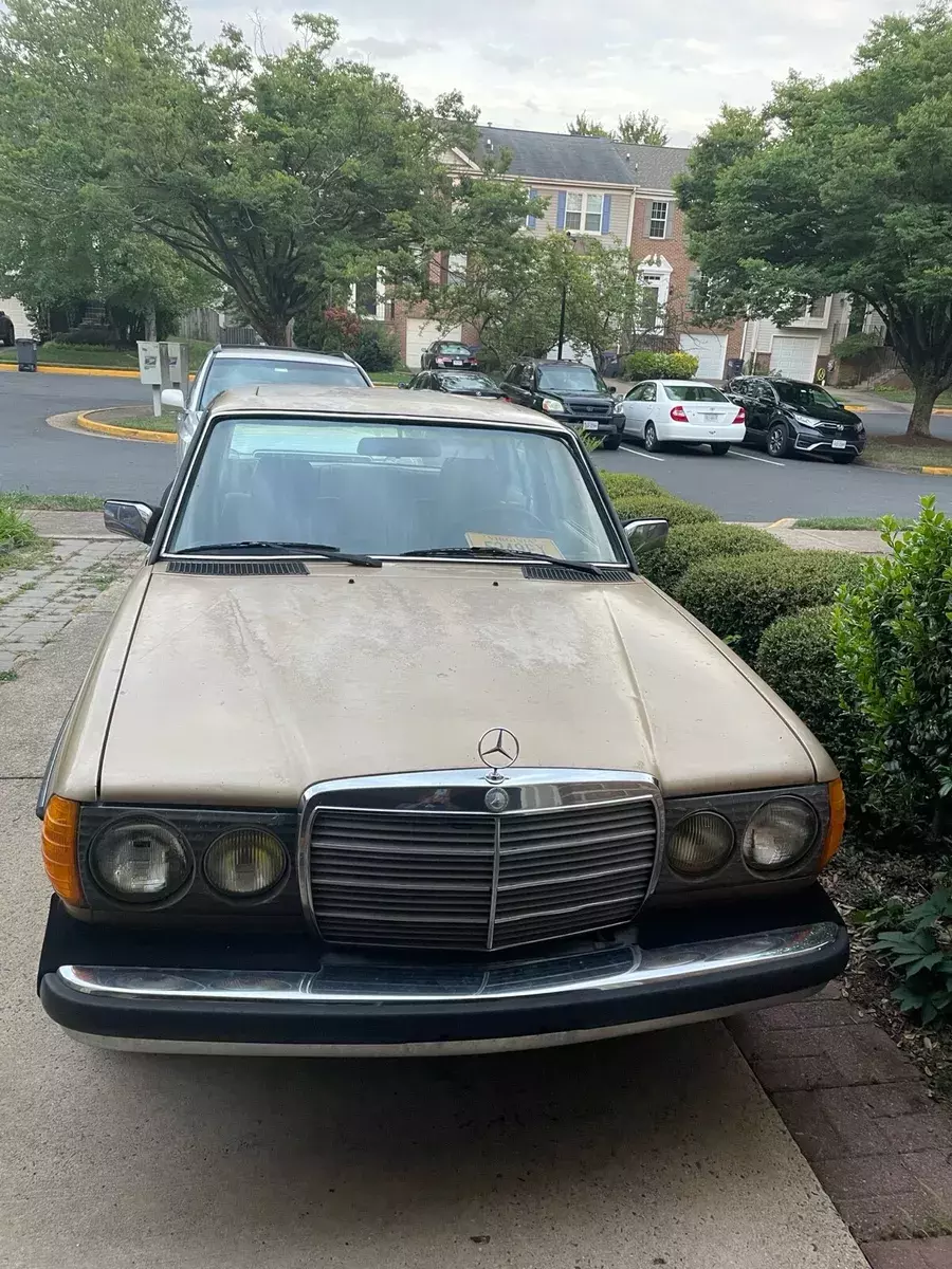 1984 Mercedes-Benz 300-Series DT