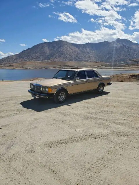 1984 Mercedes-Benz 300D DT