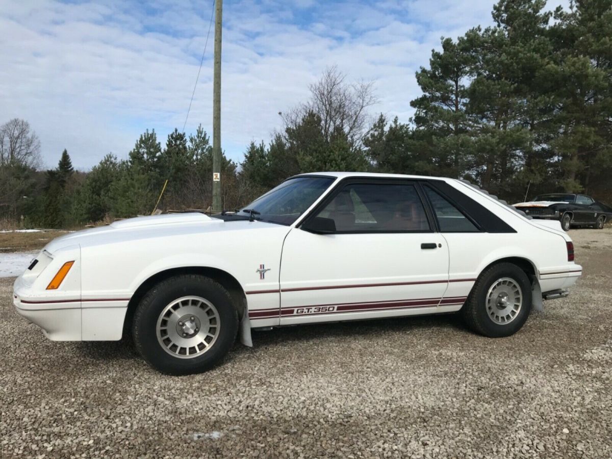 1984 Ford Mustang GT-350