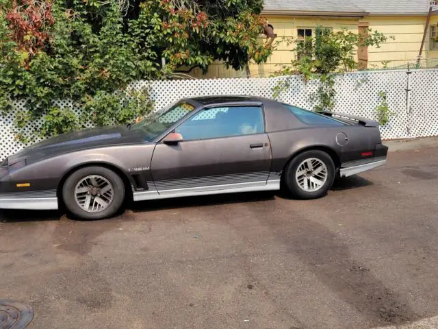 1984 Pontiac Firebird TRANS AM