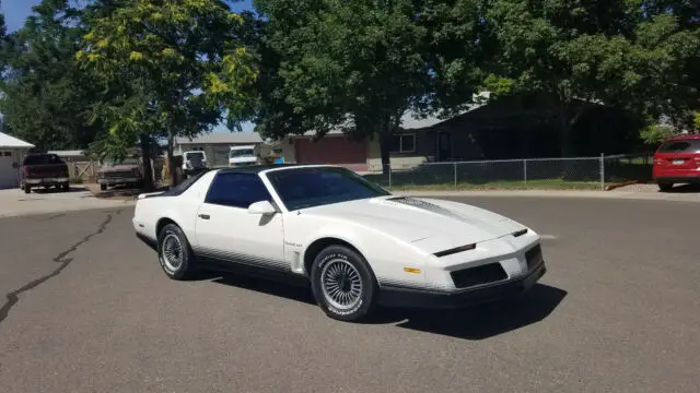 1984 Pontiac Trans Am Trans Am