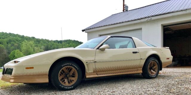 1984 Pontiac Trans Am Ws6 w62