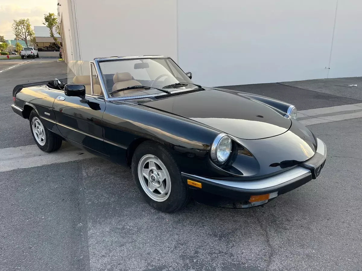 1985 Alfa Romeo Spider