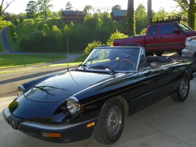 1985 Alfa Romeo Spider