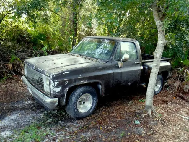 1985 Chevrolet C-10