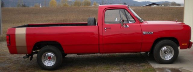 1985 Dodge Other Pickups Gold stripes