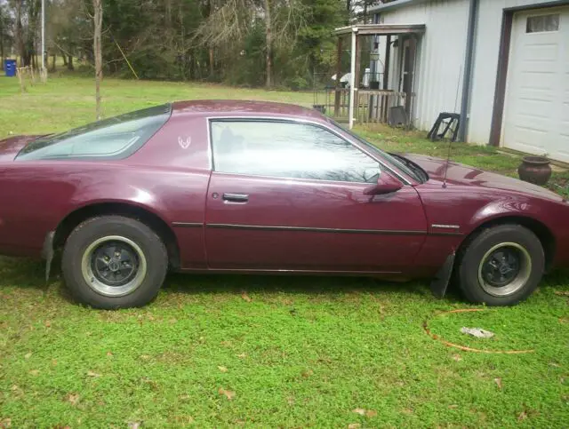 1985 Pontiac Firebird