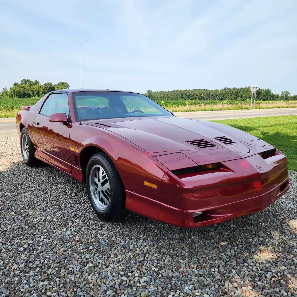 1985 Pontiac Firebird Trans Am WS6