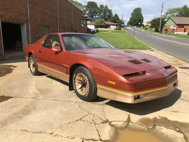 1985 Pontiac Firebird TA