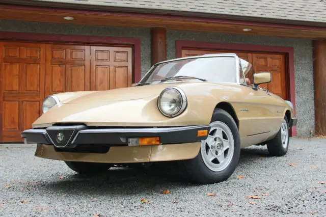 1986 Alfa Romeo Spider