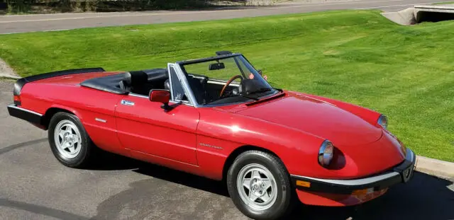 1986 Alfa Romeo Spider SPIDER GRADUATE VELOCE