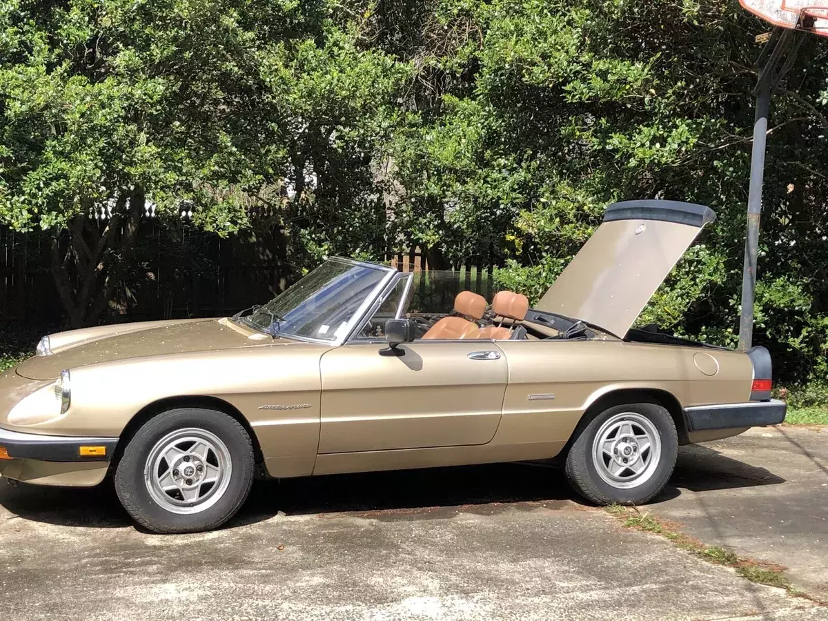 1986 Alfa Romeo Spider 2000 SPIDER