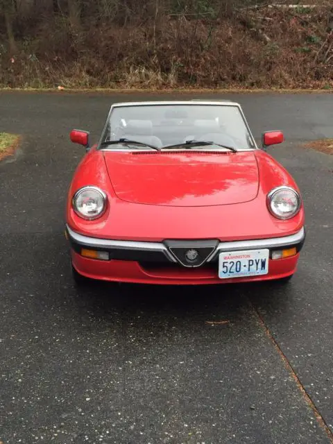 1986 Alfa Romeo Spider