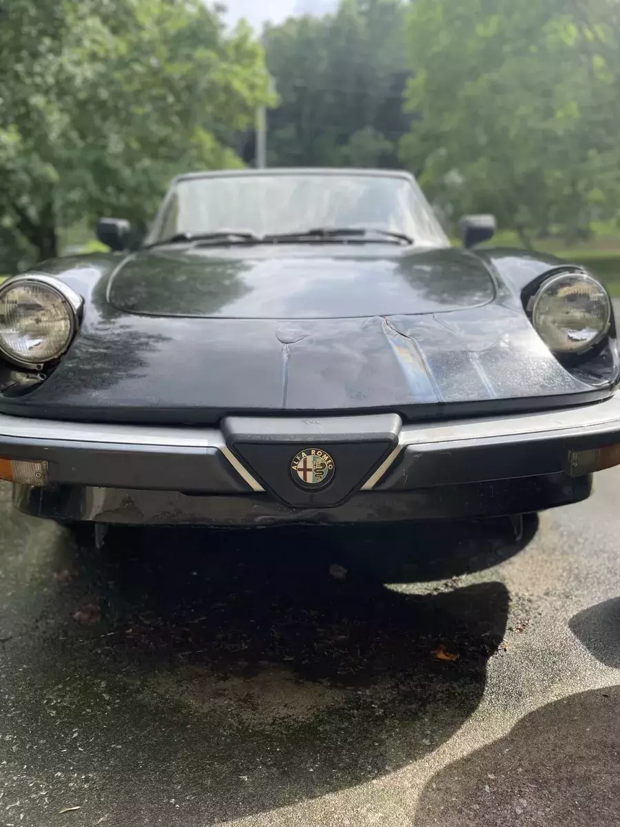 1986 Alfa Romeo Spider 2000 SPIDER