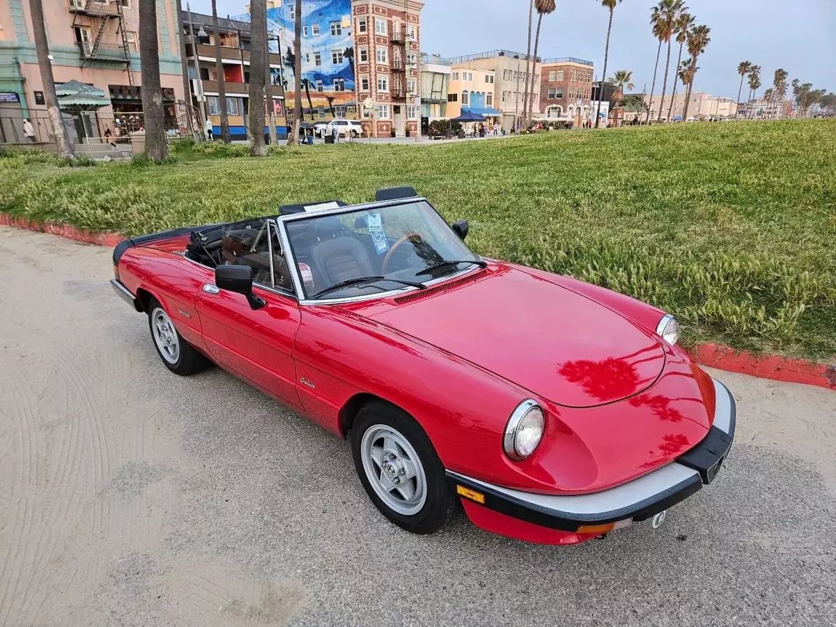 1986 Alfa Romeo Spider 2000 SPIDER