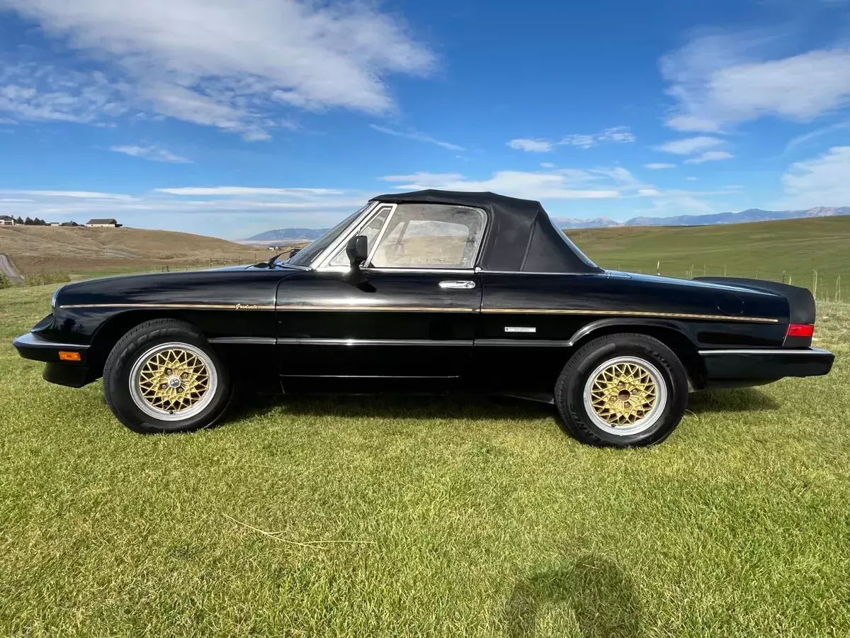 1986 Alfa Romeo Spider 2000 SPIDER