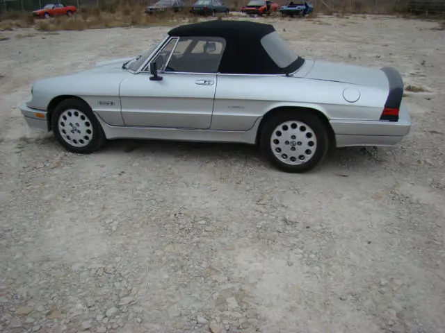 1986 Alfa Romeo Spider