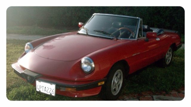 1986 Alfa Romeo Spider