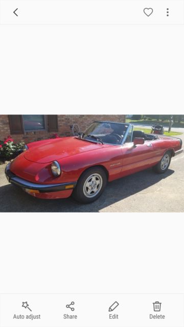 1986 Alfa Romeo Spider