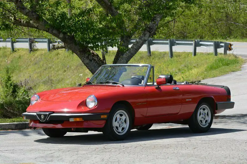 1986 Alfa Romeo Spider