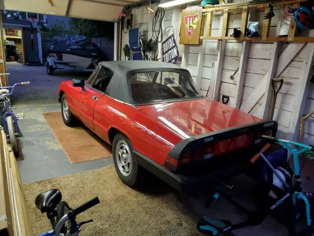 1986 Alfa Romeo Spider