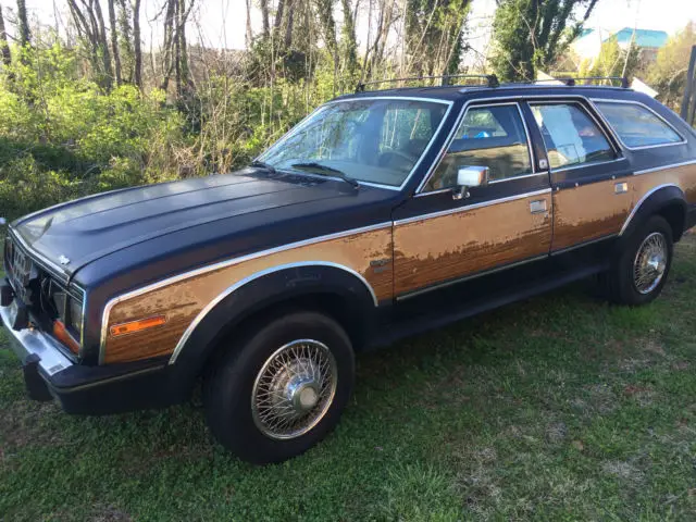 1986 AMC Other