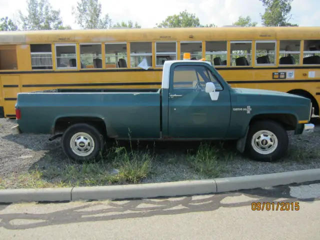 1986 Chevrolet Other Pickups