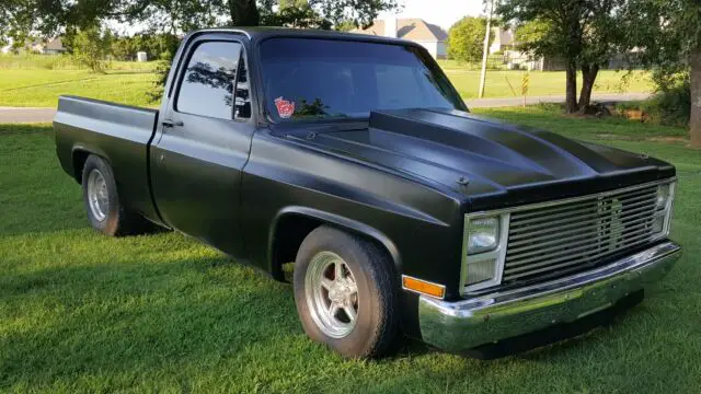 1980 Chevrolet C/K Pickup 1500