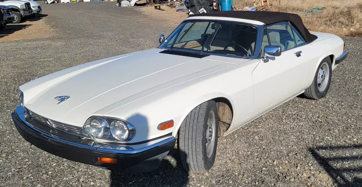 1980 Jaguar XJS