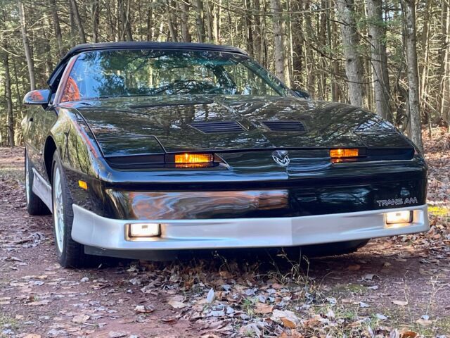 1986 Pontiac Firebird TRANS AM