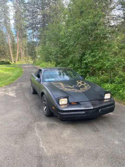 1986 Pontiac Firebird